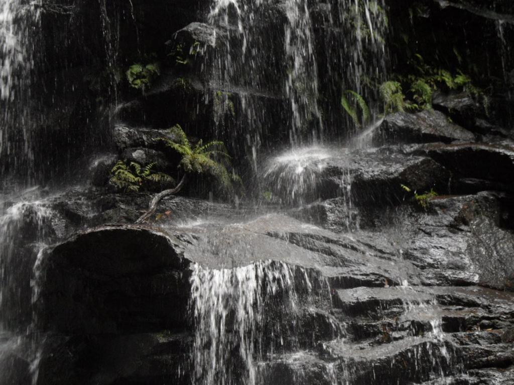 Crimson Villa Katoomba Zewnętrze zdjęcie
