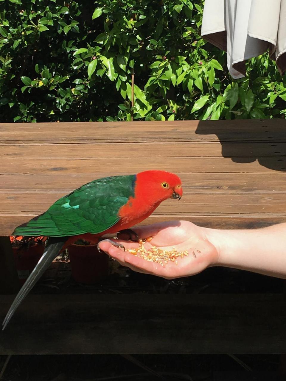 Crimson Villa Katoomba Zewnętrze zdjęcie
