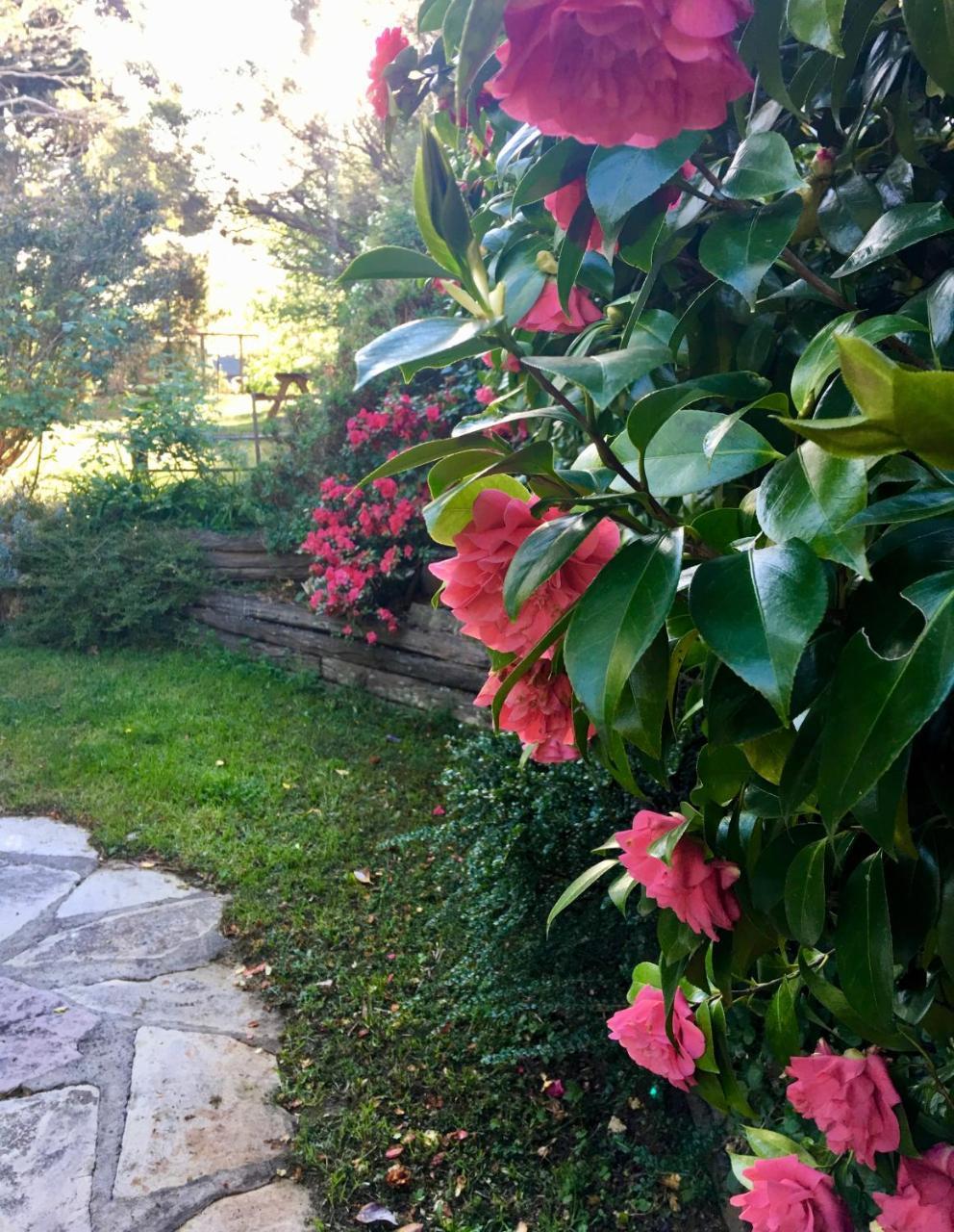 Crimson Villa Katoomba Zewnętrze zdjęcie